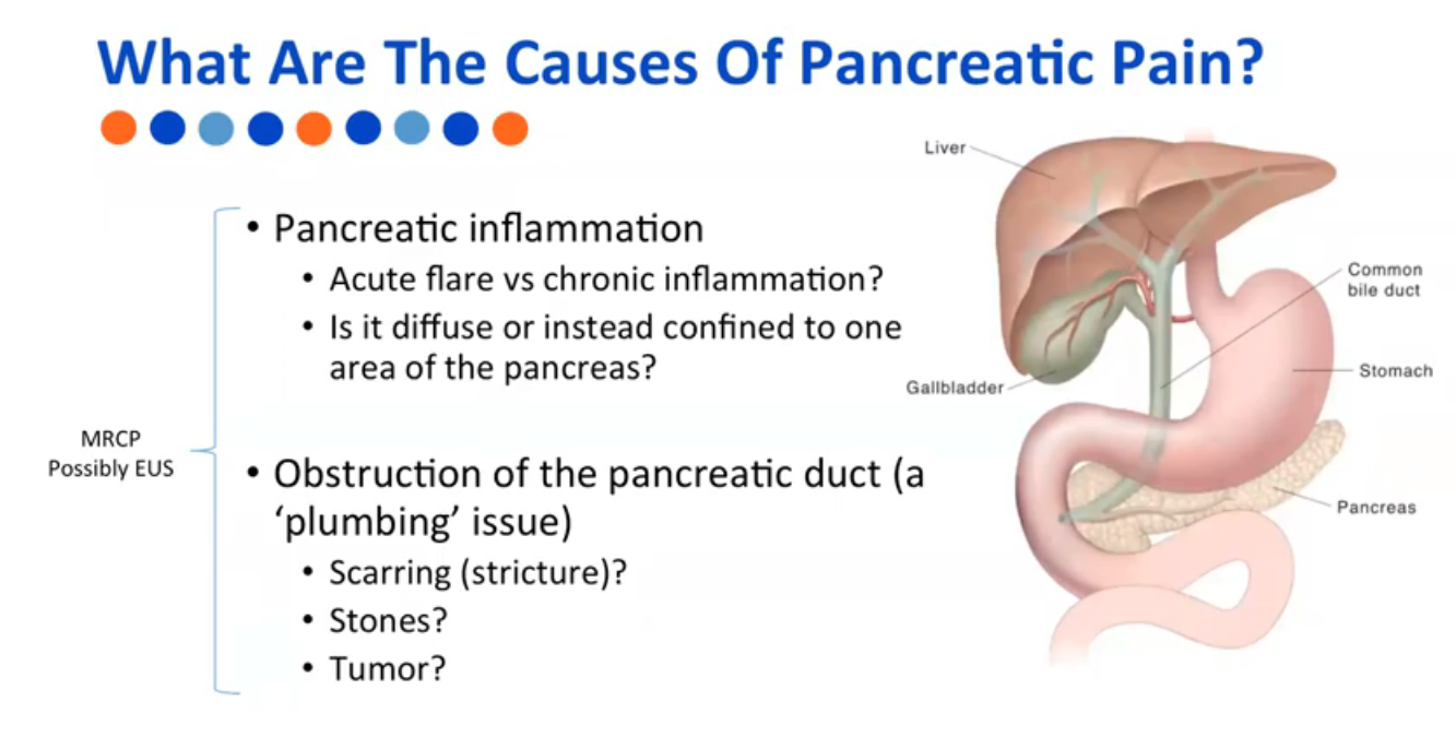 webinar-pancreatitis-pain-a-medical-approach-with-a-patient-focus