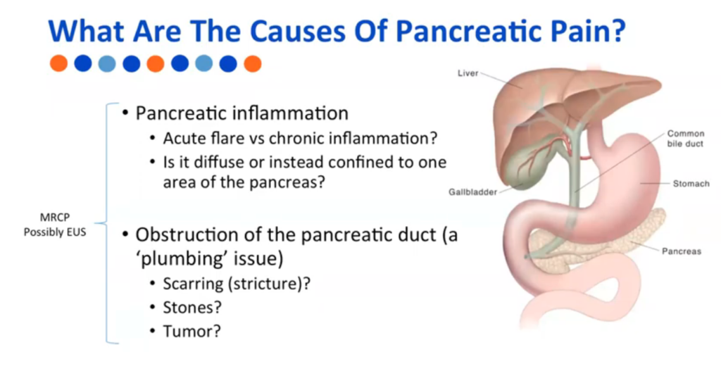 webinar-pancreatitis-pain-a-medical-approach-with-a-patient-focus