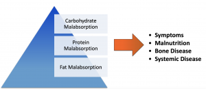 Exocrine Pancreatic Insufficiency And Pancreatic Enzymes Mission Cure