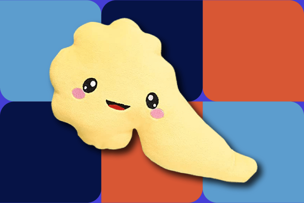 pancreas plush